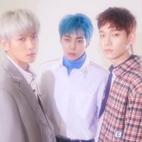 QUIZ  Which EXO CBX Member s Ideal Type Are You The Closest To  - 51