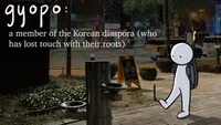 A Gyopo In Korea: Traveling With An Instrument