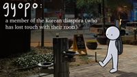 A Gyopo In Korea: Traveling With An Instrument