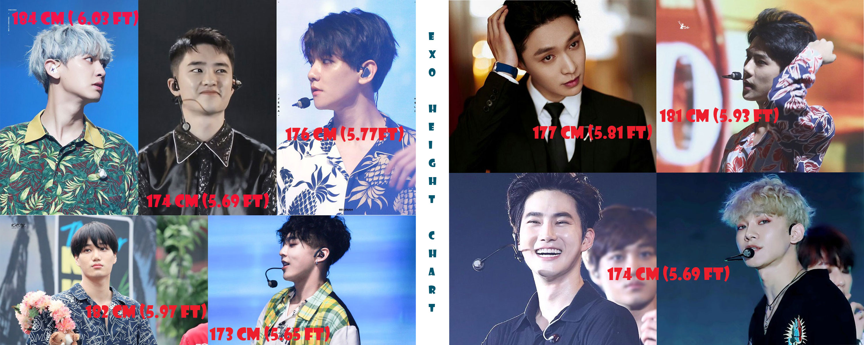 Who Are the Tallest and the Shortest EXO?  Kpopmap
