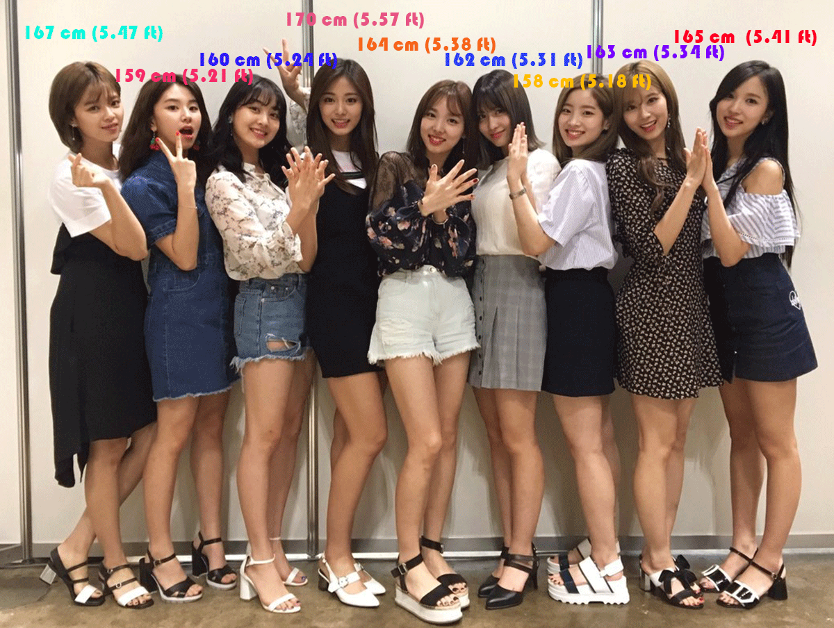 Who Are The Tallest And The Shortest TWICE? • Kpopmap