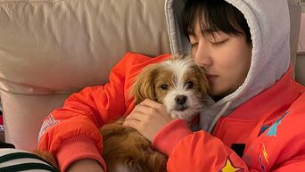 6 Korean celebrities who adopted abandoned dogs, from Blackpink's Rosé and  Netflix's Sweet Home star Lee Do-hyun, to former Wanna One member Yoon  Ji-sung