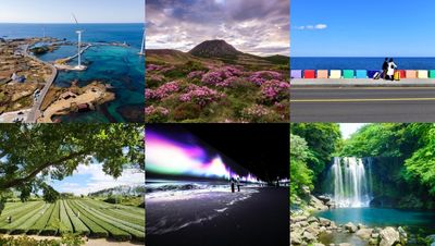 Which Jeju Tourist Attraction Will Be At The Top Of Your Itinerary?