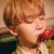 SeungKwan SEVENTEEN