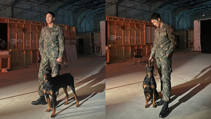 Find Out About The Puppy Stealing Our Hearts From  Military Prosecutor Doberman  - 44