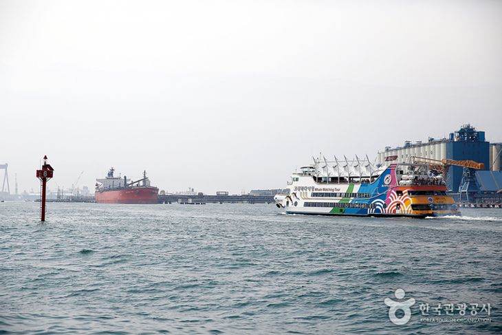 Jangsaengpo Whale Watching Cruise (장생포 고래바다여행선)