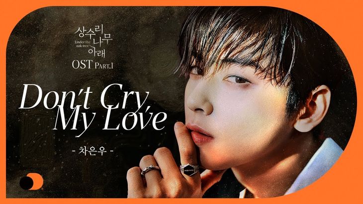 Cha EunWoo ‘Don’t Cry My love’ (Web Novel “Sangsurinamu Arae” OST Part.1 full ver)