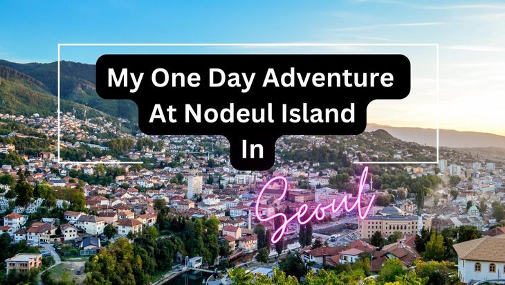 My One Day Adventure At Nodeul Island In Seoul