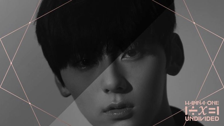 Wanna One “1÷x=1 (UNDIVIDED)” Teaser Photo