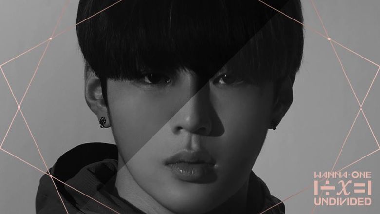 Wanna One “1÷x=1 (UNDIVIDED)” Teaser Photo