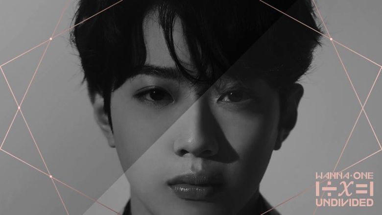 Wanna One “1÷x=1 (UNDIVIDED)” Teaser Photo