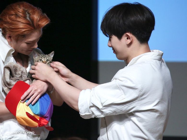 Who Is The Idol That Brought His Adorable Cats To Fansign?