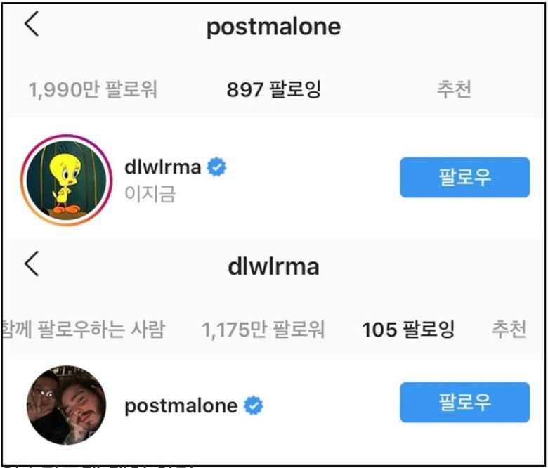 IU & Post Malone Have Been Following Each Other On Instagram