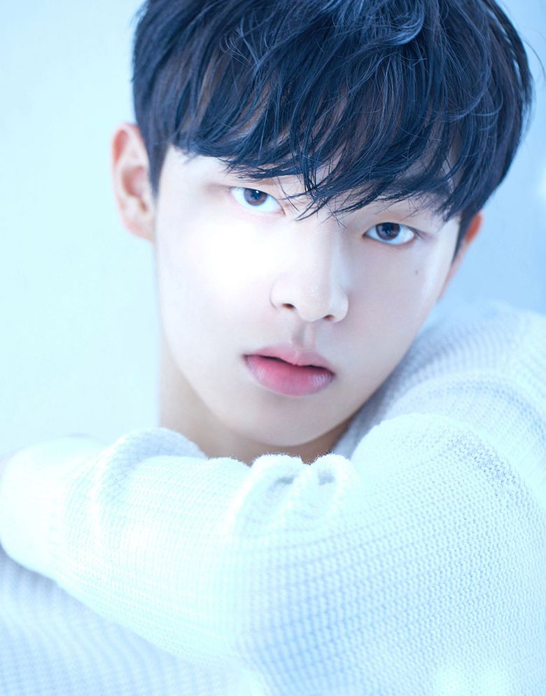  10 Label Mates Of Kim SooHyun In Agency GOLDMEDALIST (2025 Updated)