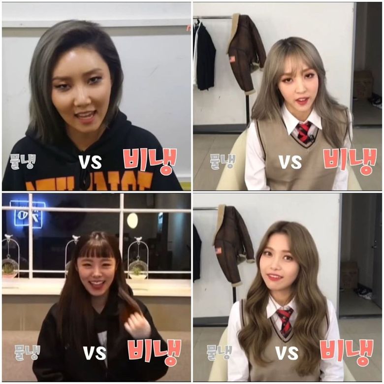 MAMAMOO AND ONEUS Have This Interesting Preference In Common  - 87