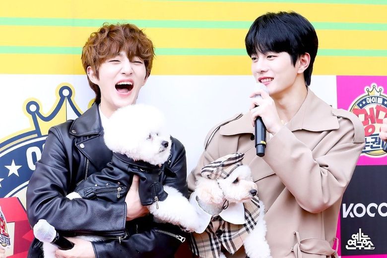 https://img.kpopmap.com/780x0/2020/09/golden-child-jaehyun-bomin.jpg