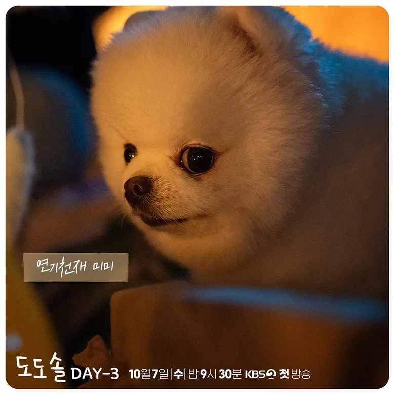 Korean Viewers Are Curious About MiMi, The Cute Dog Of "Do Do Sol Sol La La Sol", Find Out About Byul