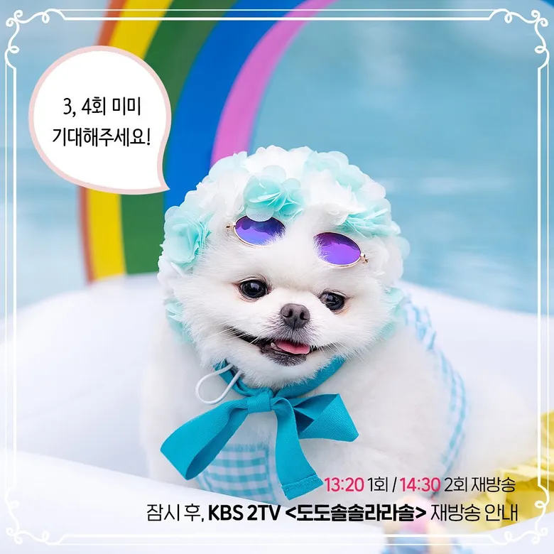 Korean Viewers Are Curious About MiMi, The Cute Dog Of "Do Do Sol Sol La La Sol", Find Out About Byul