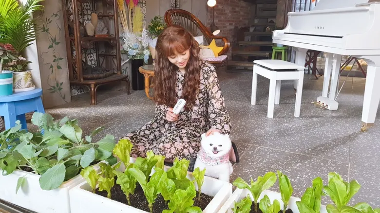 Korean Viewers Are Curious About MiMi, The Cute Dog Of "Do Do Sol Sol La La Sol", Find Out About Byul