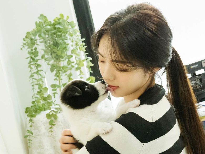 Chae SooBin Posts Adorable Pictures With Her Dogs  - 78