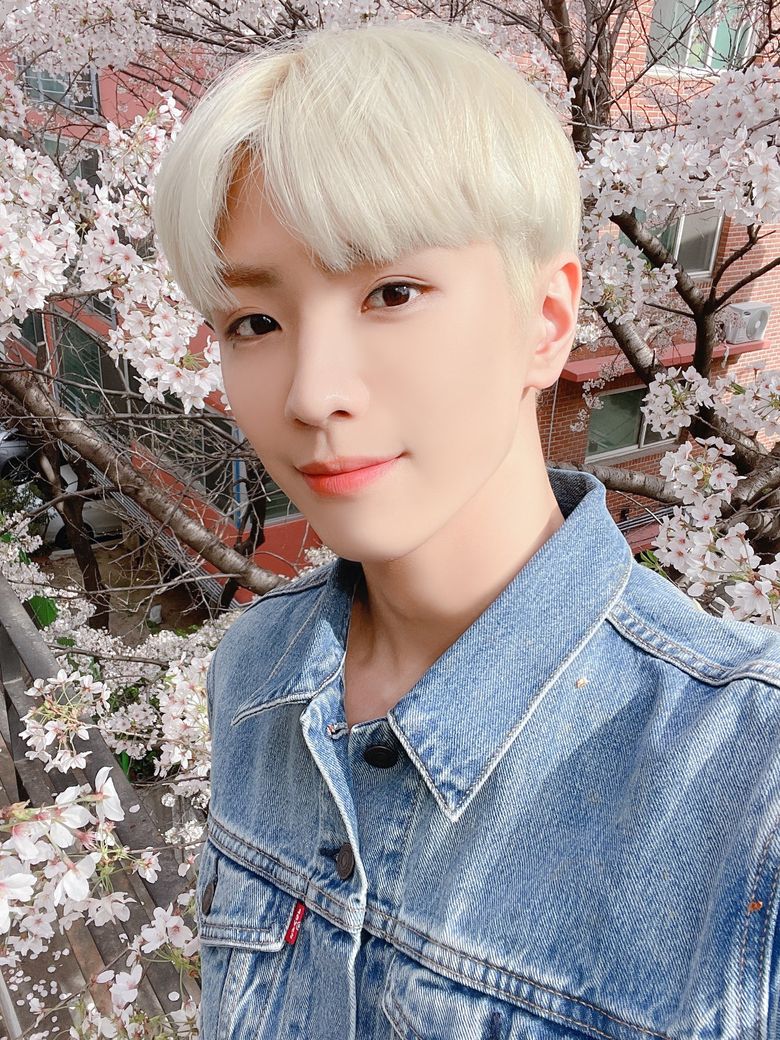 CIX Takes FIX Out On A Heart Fluttering Cherry Blossom Date Together  - 86