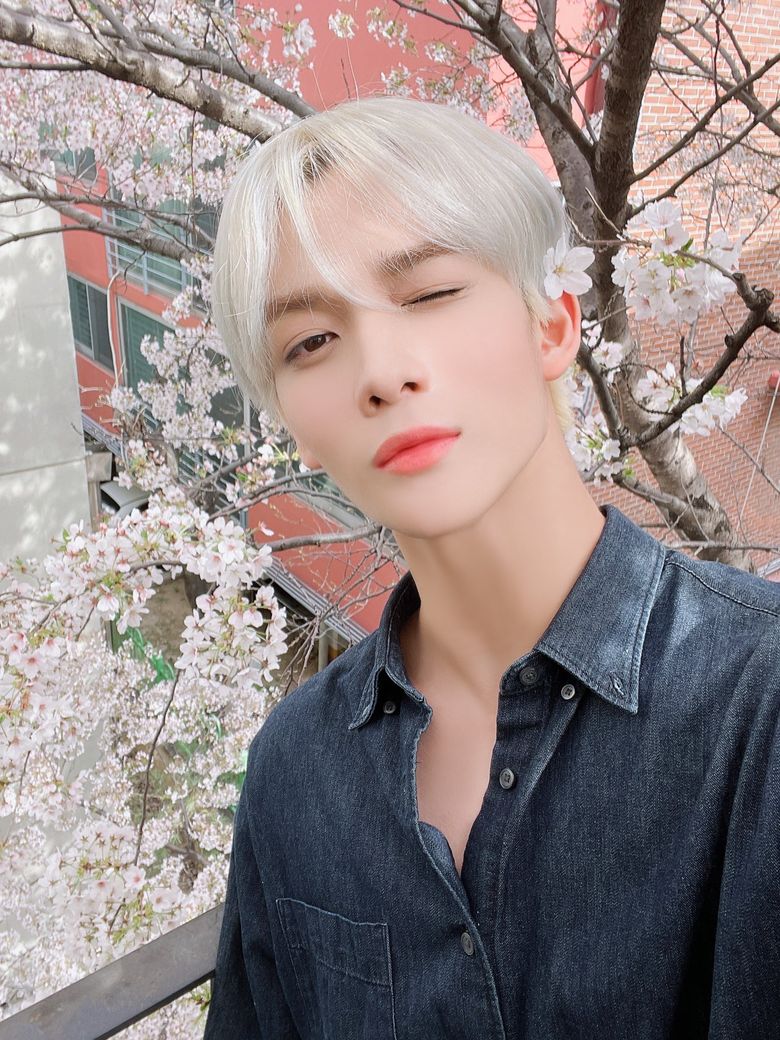 CIX Takes FIX Out On A Heart Fluttering Cherry Blossom Date Together  - 52