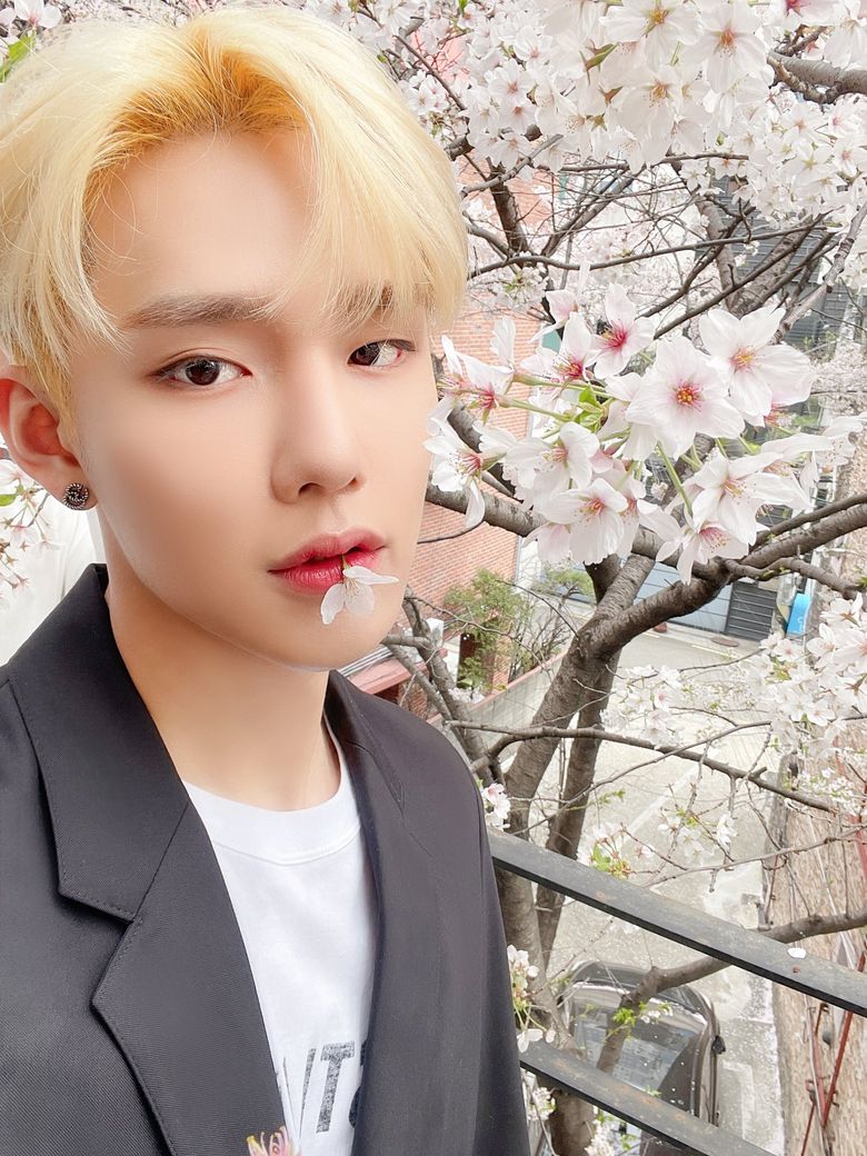 CIX Takes FIX Out On A Heart Fluttering Cherry Blossom Date Together  - 94