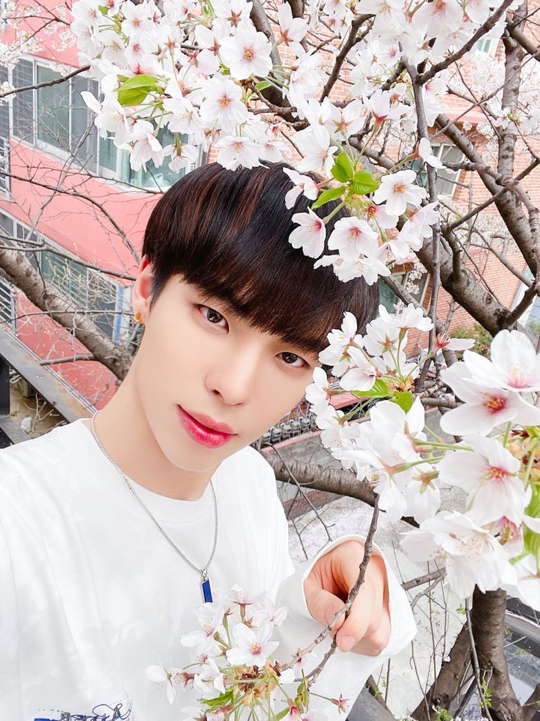 CIX Takes FIX Out On A Heart Fluttering Cherry Blossom Date Together  - 39