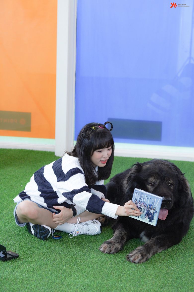 Choi YeNa, Shooting Of "Animal Detective Yena" Behind-The-Scene - Part 1