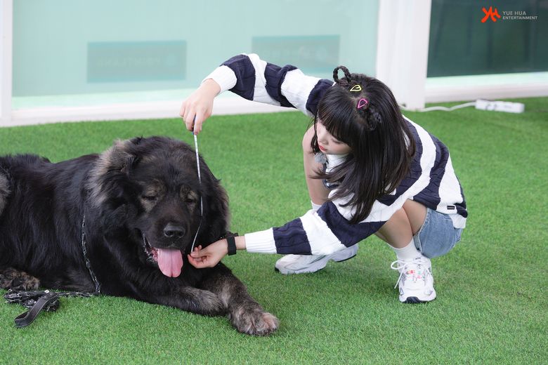 Choi YeNa, Shooting Of "Animal Detective Yena" Behind-The-Scene - Part 1