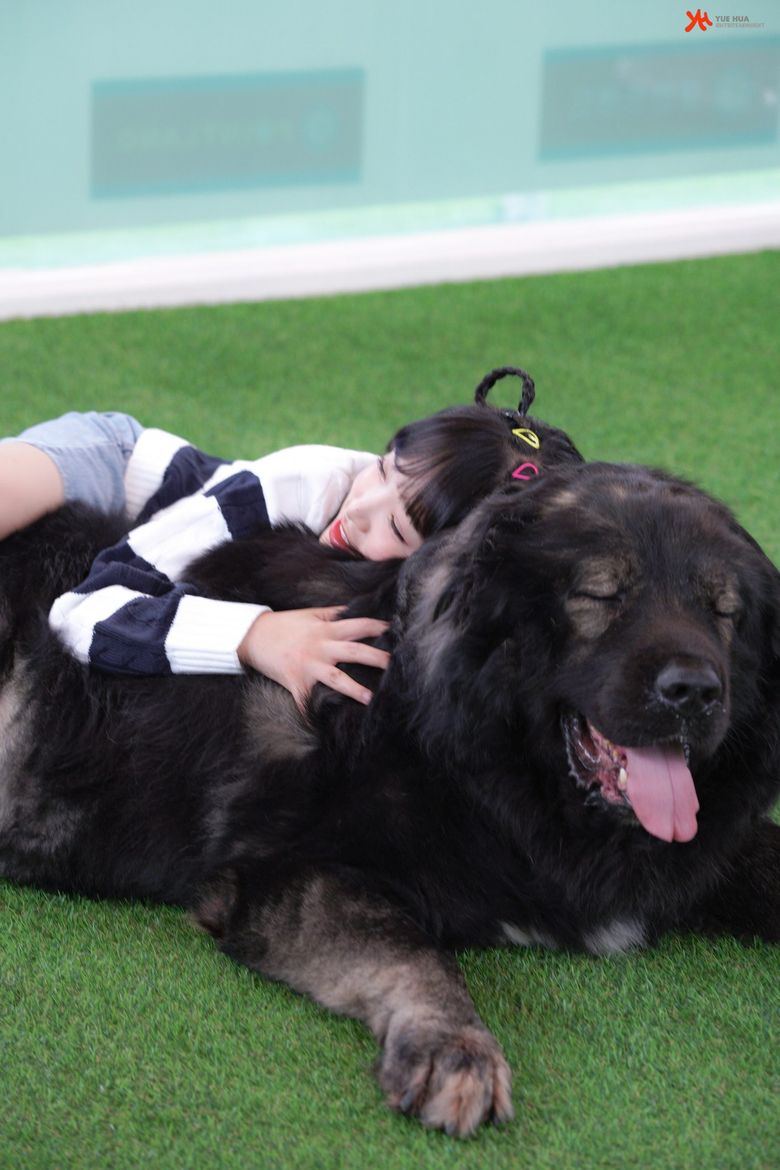 Choi YeNa, Shooting Of "Animal Detective Yena" Behind-The-Scene - Part 1