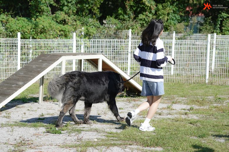 Choi YeNa, Shooting Of "Animal Detective Yena" Behind-The-Scene - Part 2