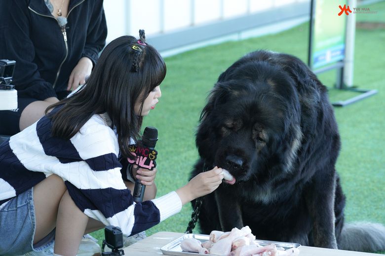 Choi YeNa, Shooting Of "Animal Detective Yena" Behind-The-Scene - Part 2