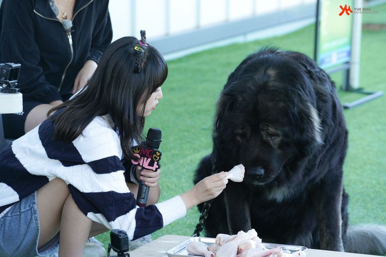 Choi YeNa, Shooting Of "Animal Detective Yena" Behind-The-Scene - Part 2