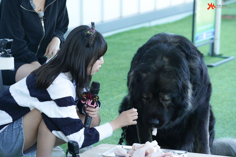 Choi YeNa, Shooting Of "Animal Detective Yena" Behind-The-Scene - Part 2