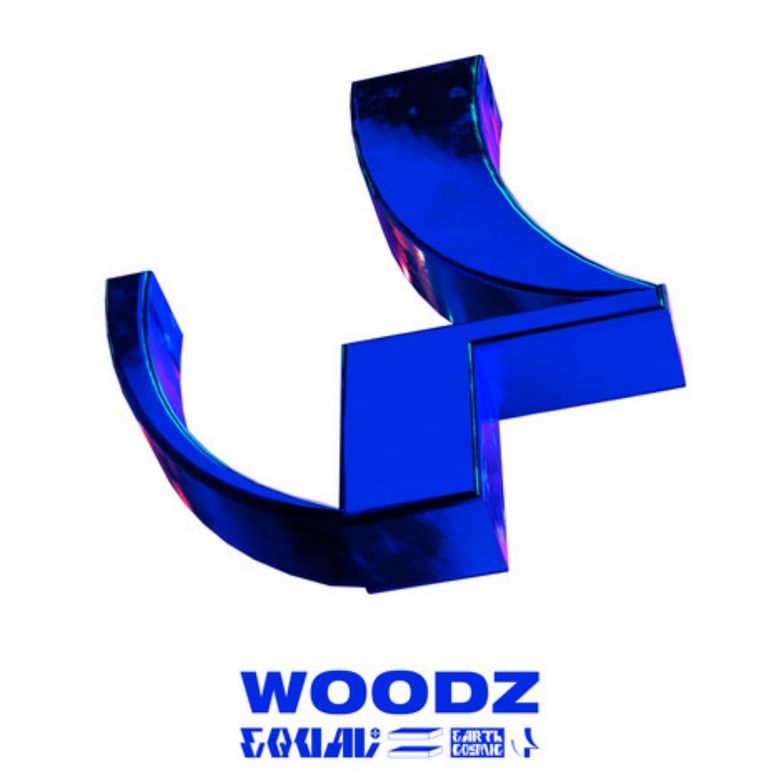 The Artist Named WOODZ  - 44