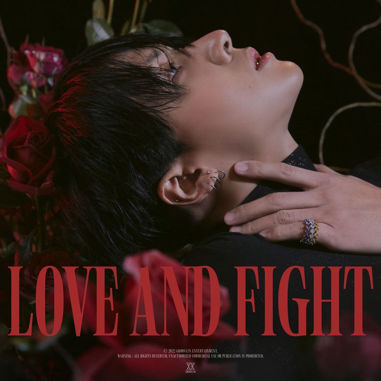 RAVI Comes Back Photos, 2nd LP 'LOVE AND FIGHT'