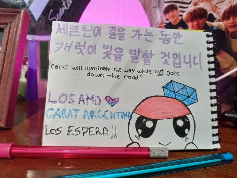 Kpopmap Fan Interview  An Argentinian CARAT Talks About Her Favorite Group SEVENTEEN   Her Bias Hoshi - 24