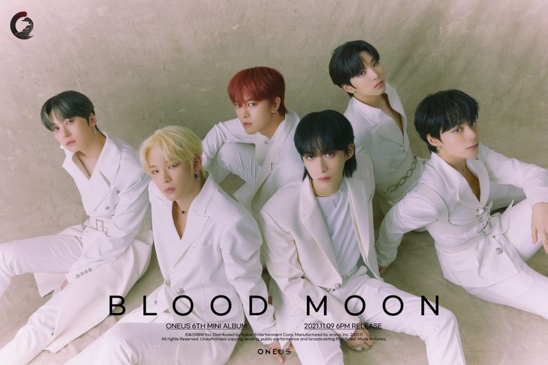 Kpopmap Fan Interview  A Colombian TO MOON Talks About Her Favorite Group ONEUS   Her Bias LeeDo  - 49