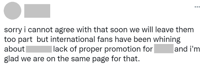 Netizens Discuss The Importance Of Domestic Vs  International Fan Bases  Is One More Significant Than The Other   - 46