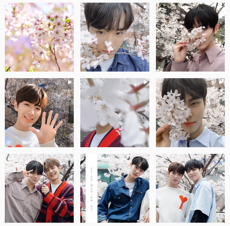 CIX Makes Fans Play The Hidden Picture Game In Annual Cherry Blossom Photos With Their Flower like Visuals  - 29