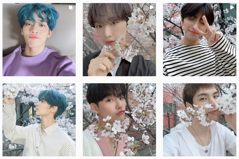 CIX Makes Fans Play The Hidden Picture Game In Annual Cherry Blossom Photos With Their Flower like Visuals - 98