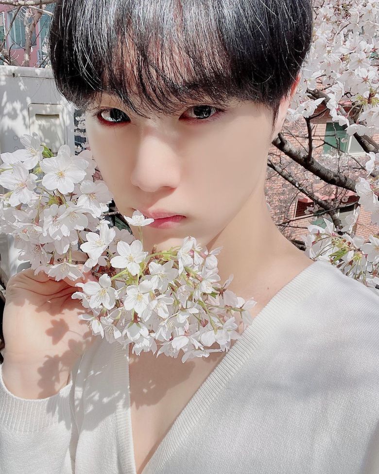 CIX Makes Fans Play The Hidden Picture Game In Annual Cherry Blossom Photos With Their Flower like Visuals - 4