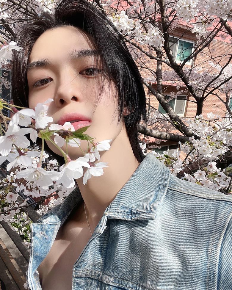 CIX Makes Fans Play The Hidden Picture Game In Annual Cherry Blossom Photos With Their Flower like Visuals - 73