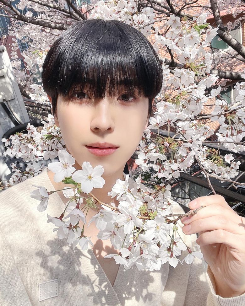 CIX Makes Fans Play The Hidden Picture Game In Annual Cherry Blossom Photos With Their Flower like Visuals  - 67