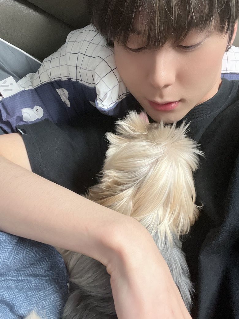 OMEGA X s Members And Their Adorable Pets - 41