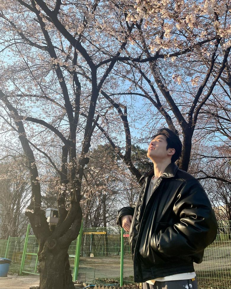  16 Male K-Pop Idols Who Took Us On Spring Dates Under The Cherry Blossoms