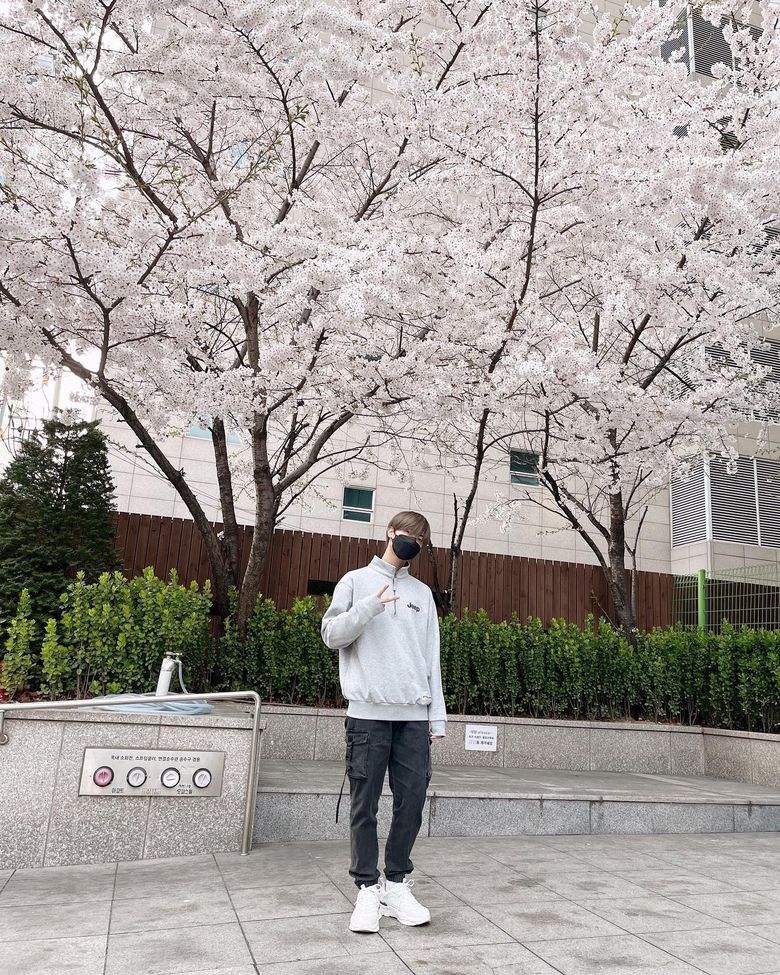  16 Male K-Pop Idols Who Took Us On Spring Dates Under The Cherry Blossoms