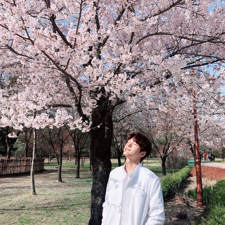 Top 3 Male Actors Fans Would Love To See The Cherry Blossoms With According To Kpopmap's Readers