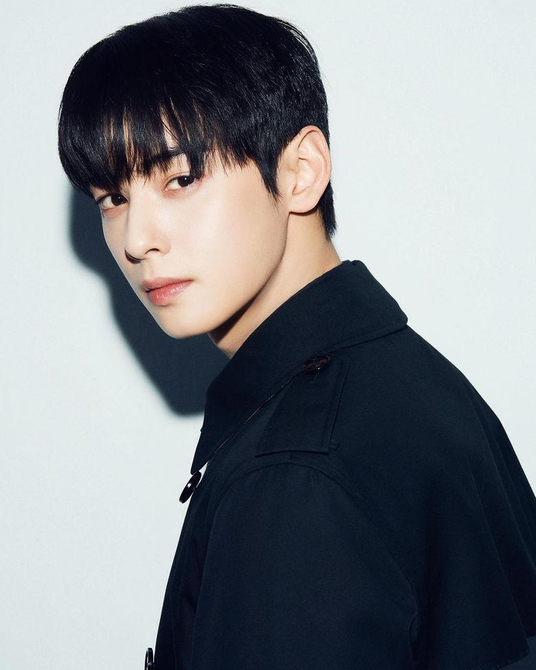 ASTRO Cha Eunwoo's Bad Boy Vibes Have People Going Completely Crazy Over  His Visuals
